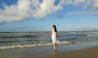 养马岛交通攻略 养马岛旅游攻略