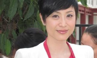 温兆伦陈法蓉主演的电视剧 陈法蓉演过的电视剧