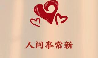 兔年文案高级感 兔年高质量祝福文案