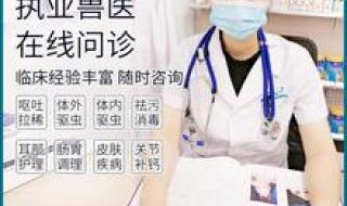 宠物医院领养宠物流程 网上宠物医院咨询