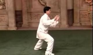 陈正雷二路炮捶多少式 陈正雷老架一路教学