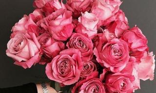 玫瑰花应该买几朵 送几朵玫瑰花的含义