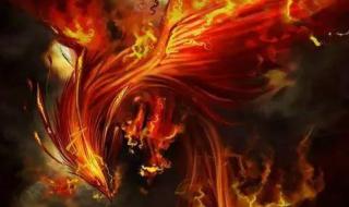 超星神四个队什么星座 十二星座专属神龙