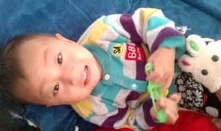 小燕子穿花衣简谱 小燕子穿花衣简谱