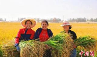 k9720火车喀什到乌鲁木齐途经哪些站 喀什离乌鲁木齐多远